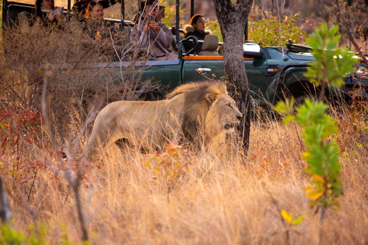 Nungubane Game Lodge Велгефонден Гейм Ризърв Екстериор снимка